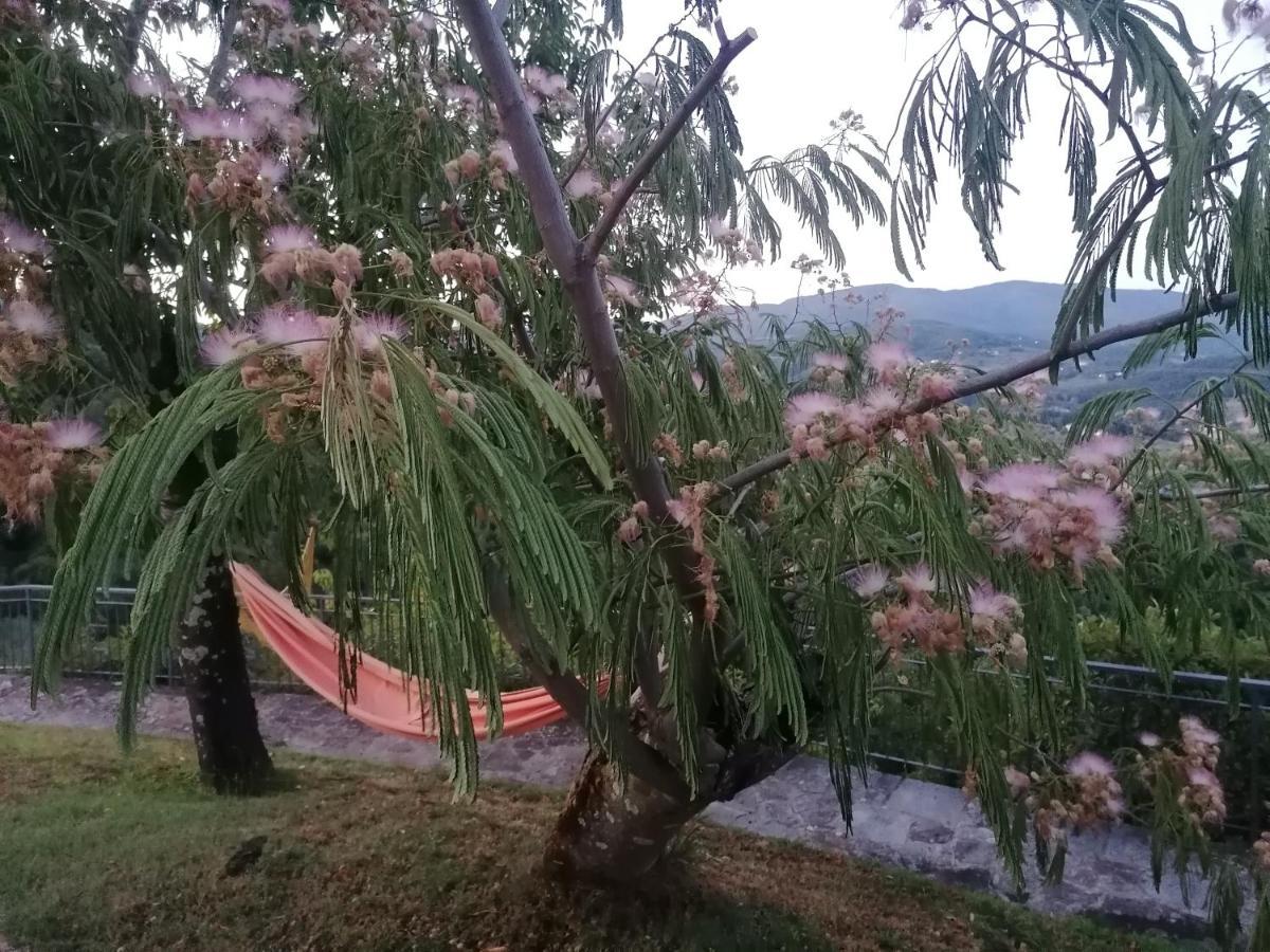 Villa Casina in pietra Pistoia Esterno foto